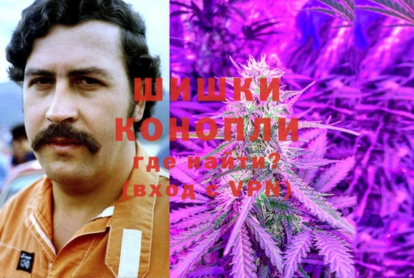 гидра Пестово