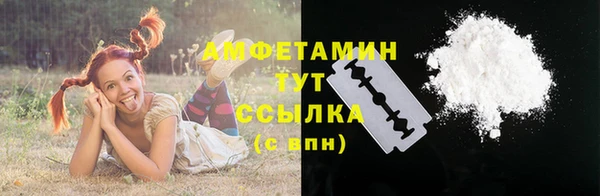 ПСИЛОЦИБИНОВЫЕ ГРИБЫ Пересвет