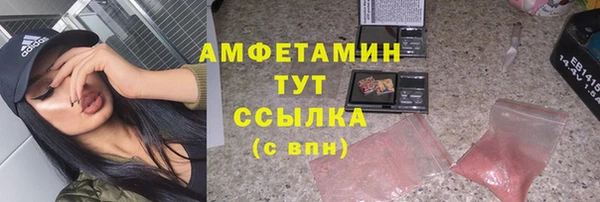 ПСИЛОЦИБИНОВЫЕ ГРИБЫ Пересвет