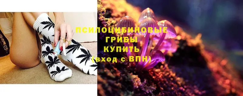 Галлюциногенные грибы Psilocybe  kraken ссылки  Сорочинск  цена  