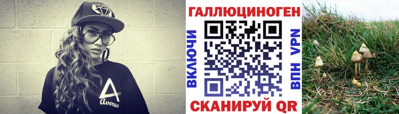 мега маркетплейс  Сорочинск  Галлюциногенные грибы GOLDEN TEACHER  купить наркотики цена 