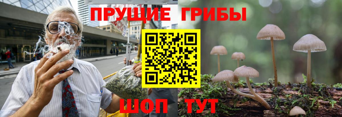 Галлюциногенные грибы ЛСД  Псилоцибиновые грибы Magic Shrooms  Сорочинск  Вход с VPN 